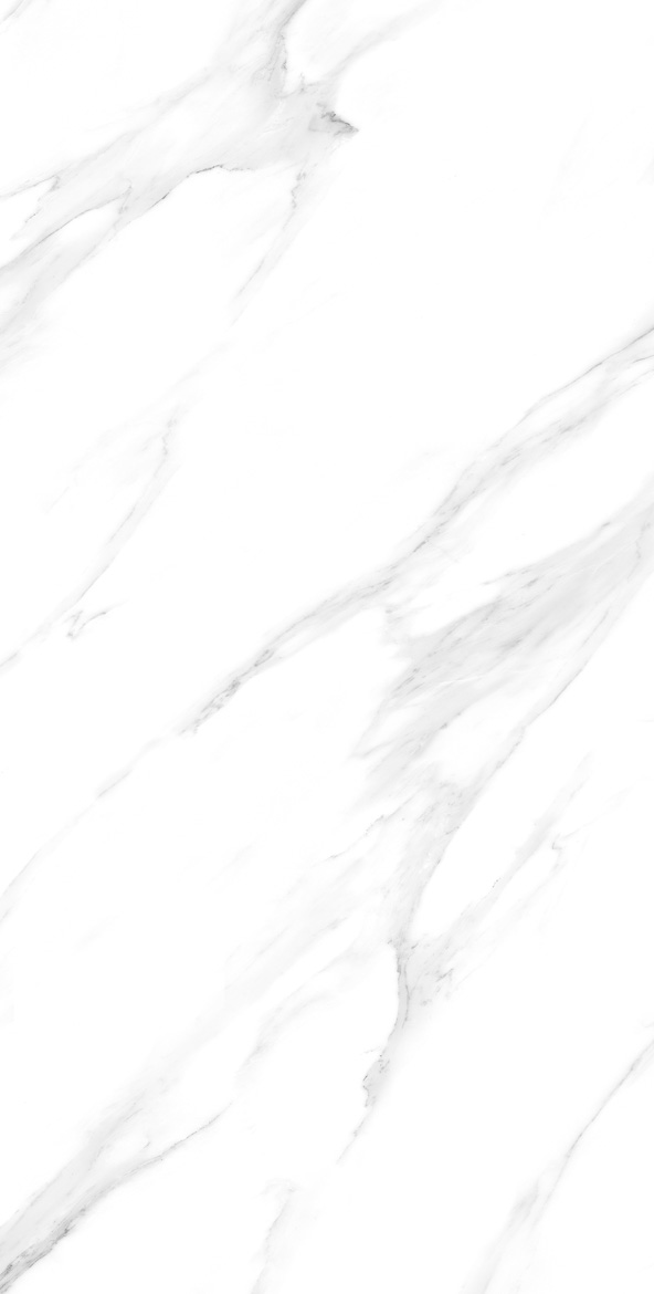 ARTIC BLANC